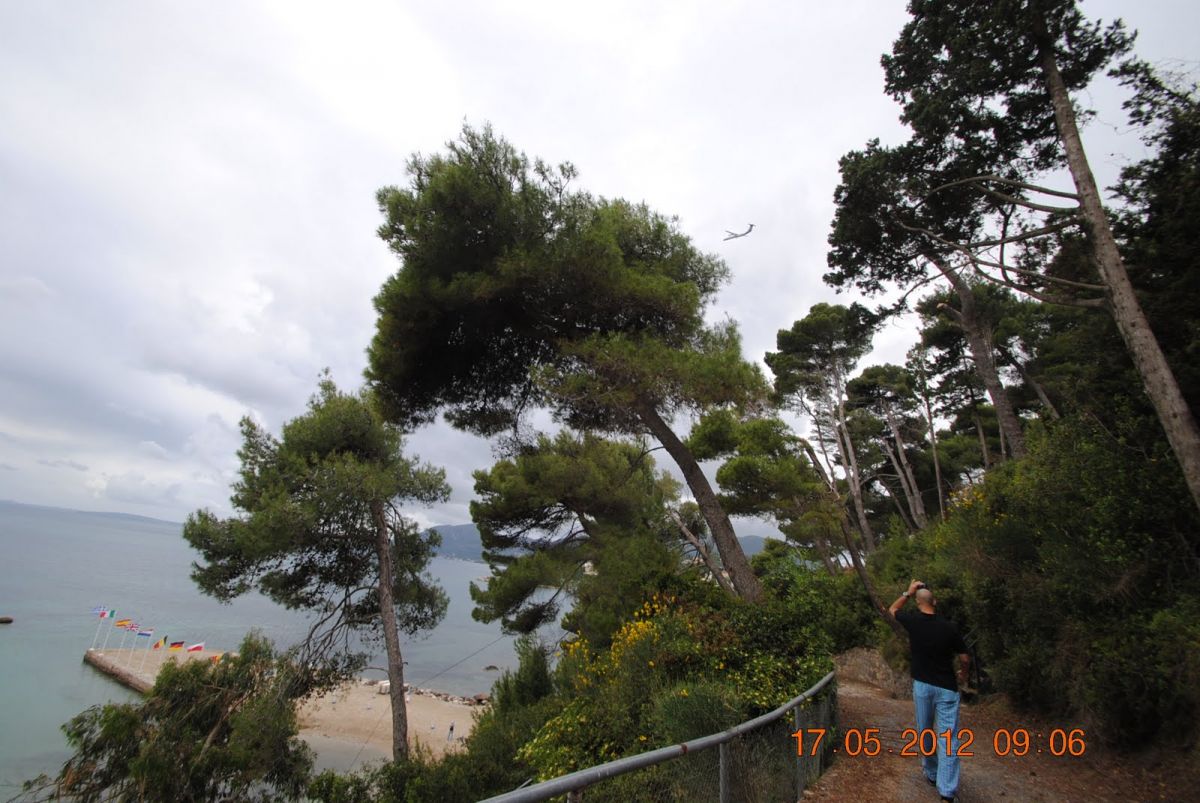 imagini hotel CORFU HOLIDAY PALACE